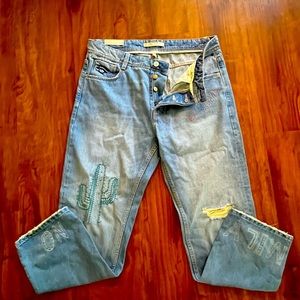 Zara Trafaluc jeans embroidered cactus and flowers sz6